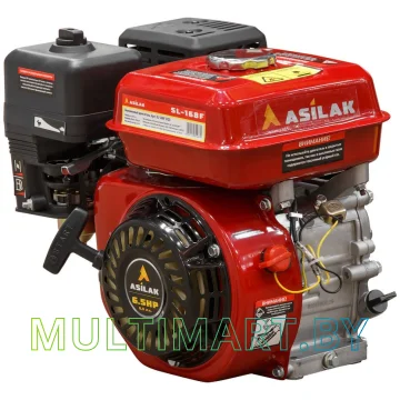 Бензиновый двигатель  Asilak SL-168F-D20 картинка 2